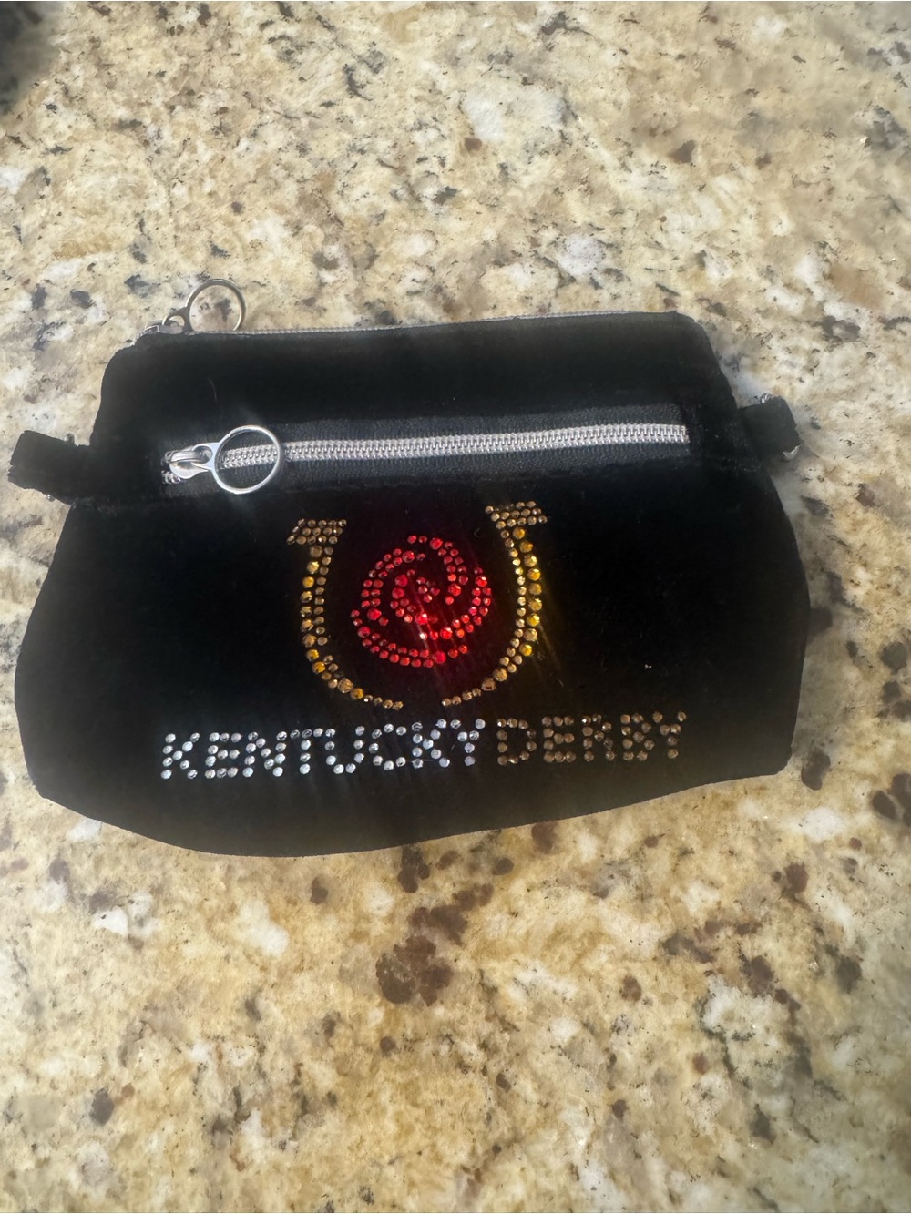 Kentucky Derby Cosmetic Bag or Clutch Bag
 Bag